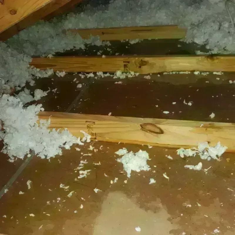 Attic Water Damage in West Hartford, CT